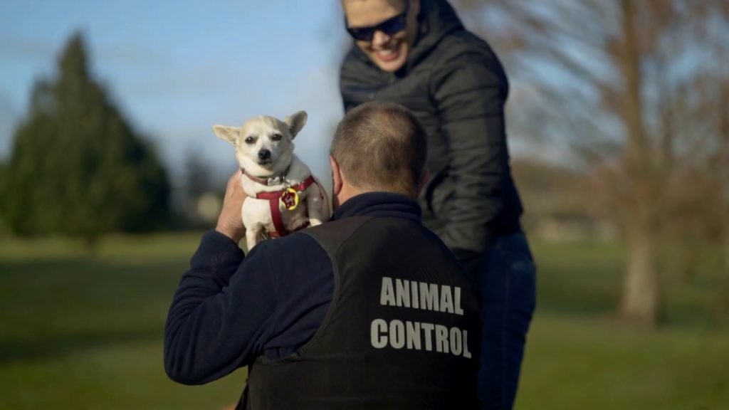 Animal Control NZ