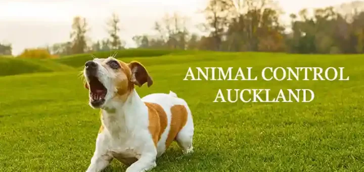 Animal Control Auckland